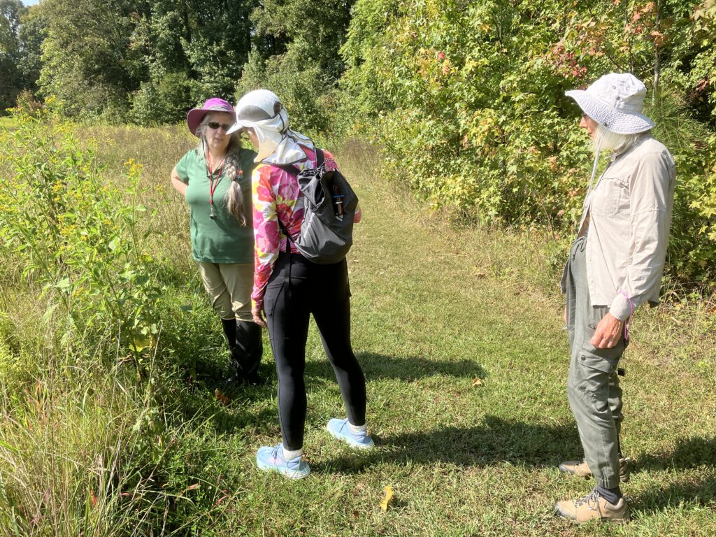 Fall 2024 at a Glance Wild Ones Chesapeake Bay Chapter